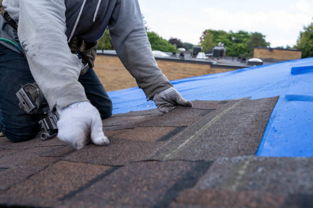 Best Flat Roof Repair Services  in Long Valley, NJ