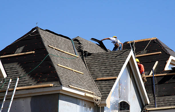 Best Roof Gutter Cleaning  in Long Valley, NJ