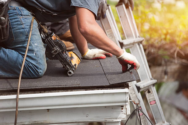 Best Gutter Installation and Roofing  in Long Valley, NJ