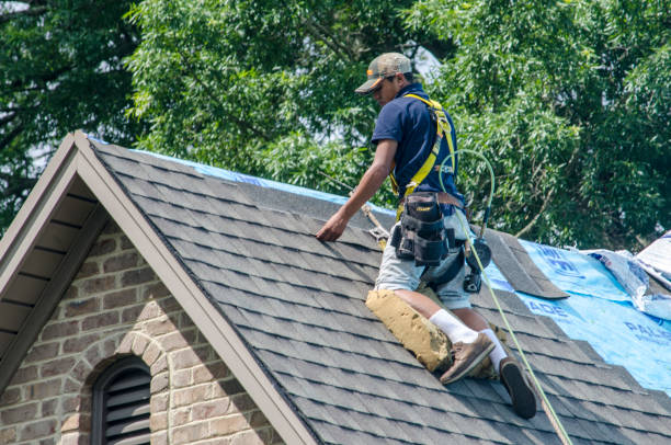 Roof Gutter Cleaning in Long Valley, NJ